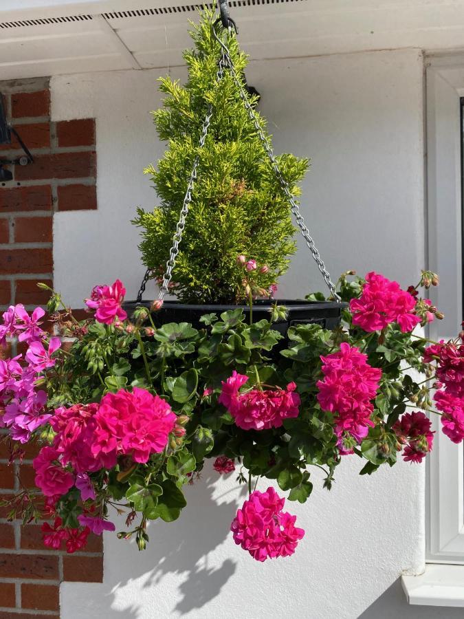 Toppesfield House B&B Bude Εξωτερικό φωτογραφία