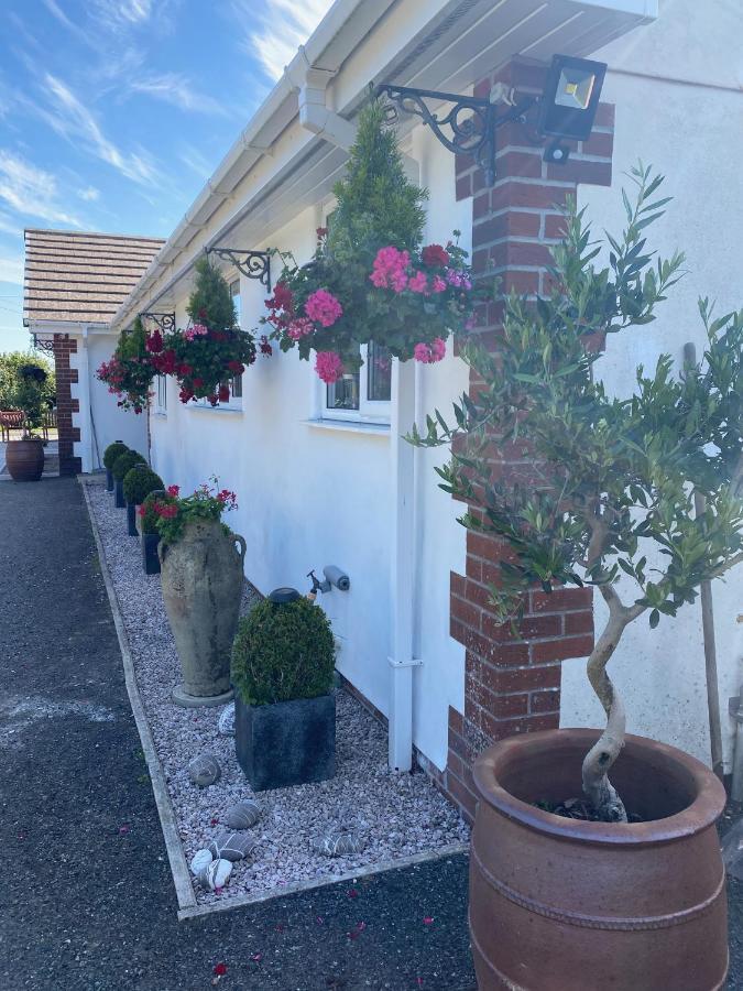 Toppesfield House B&B Bude Εξωτερικό φωτογραφία