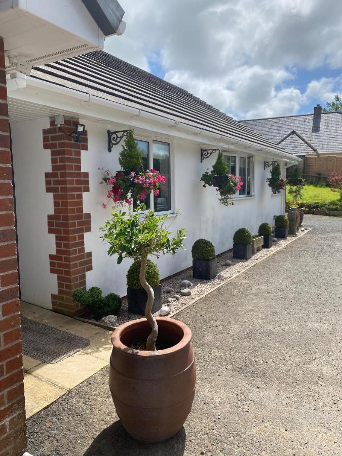 Toppesfield House B&B Bude Εξωτερικό φωτογραφία