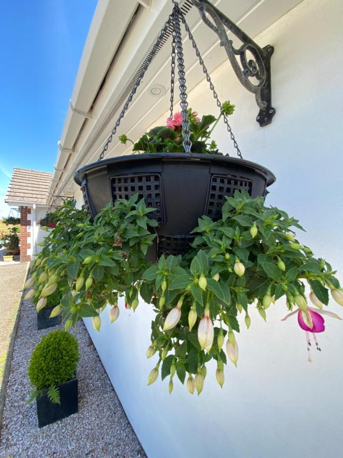 Toppesfield House B&B Bude Εξωτερικό φωτογραφία