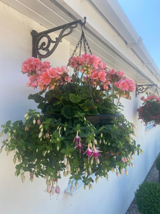 Toppesfield House B&B Bude Εξωτερικό φωτογραφία