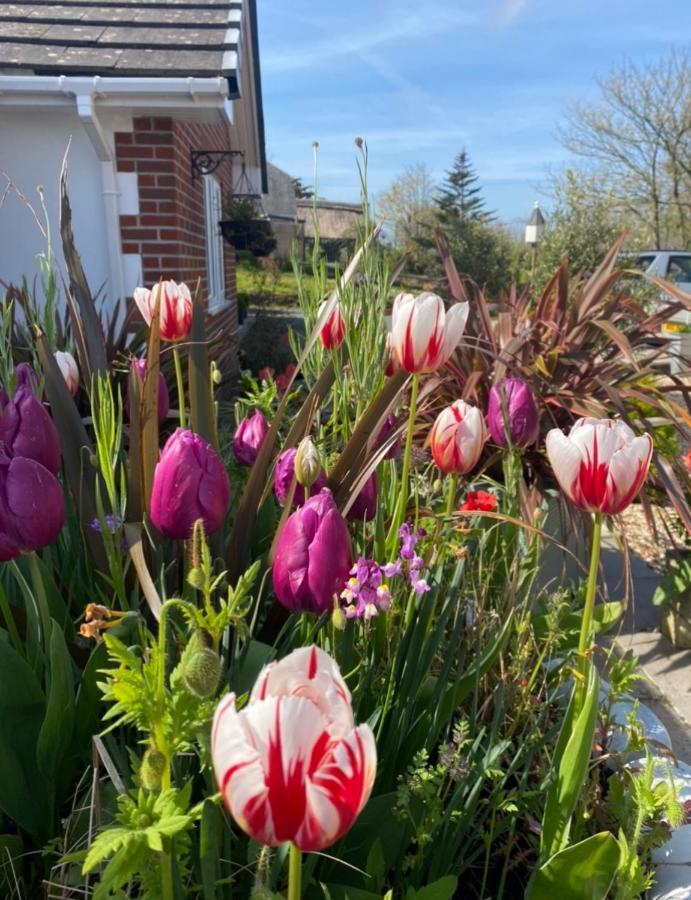 Toppesfield House B&B Bude Εξωτερικό φωτογραφία